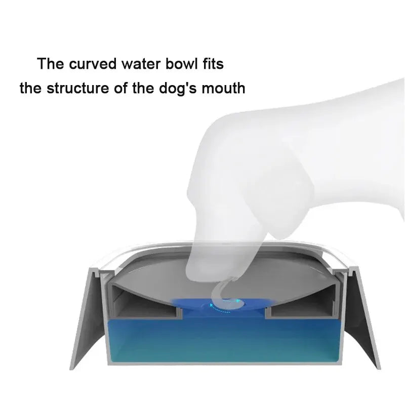 Dogs Drinking Water Bowl