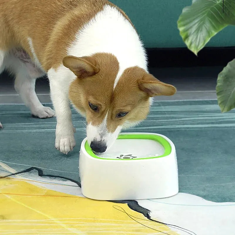 Dogs Drinking Water Bowl