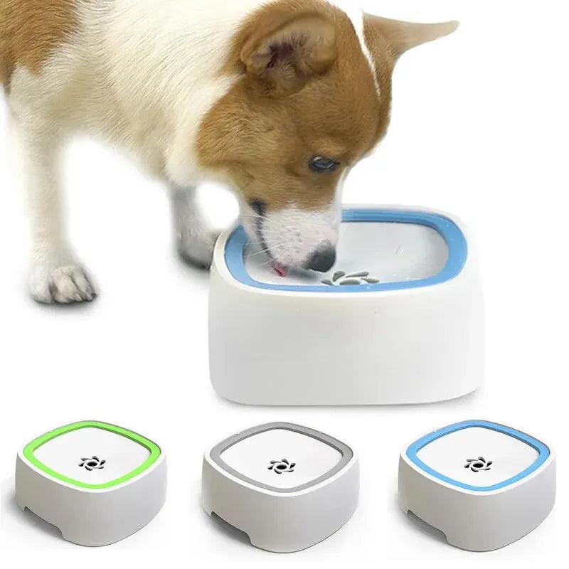 Dogs Drinking Water Bowl