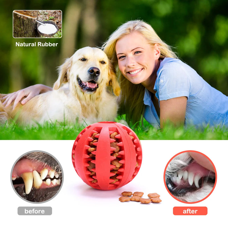 Pet Toy Rubber Balls for Dogs