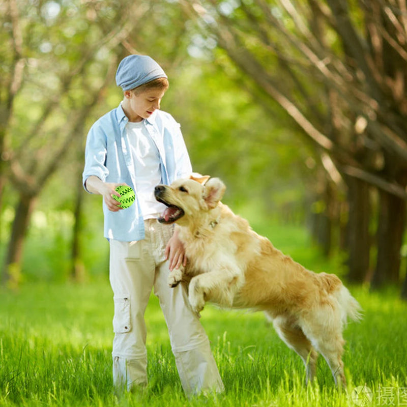 Pet Toy Rubber Balls for Dogs